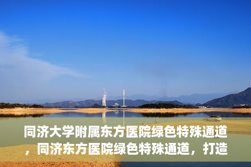 同济大学附属东方医院绿色特殊通道，同济东方医院绿色特殊通道，打造健康之路的新篇章
