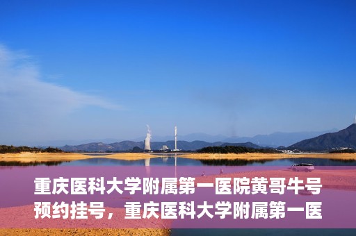 重庆医科大学附属第一医院黄哥牛号预约挂号，重庆医科大学附属第一医院黄哥牛号预约挂号攻略