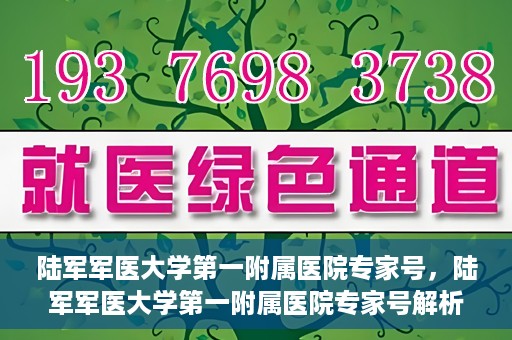 陆军军医大学第一附属医院专家号，陆军军医大学第一附属医院专家号解析，权威医疗团队的专业解读与诊疗服务