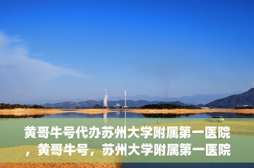 黄哥牛号代办苏州大学附属第一医院，黄哥牛号，苏州大学附属第一医院代办服务详解
