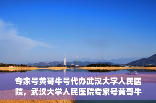 专家号黄哥牛号代办武汉大学人民医院，武汉大学人民医院专家号黄哥牛号代办服务揭秘