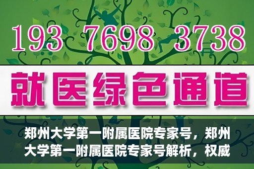 郑州大学第一附属医院专家号，郑州大学第一附属医院专家号解析，权威医疗团队的专业解读与诊疗之道