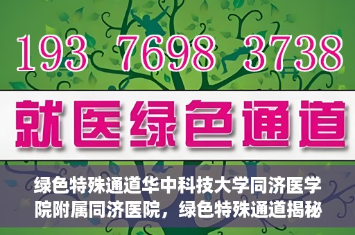 绿色特殊通道华中科技大学同济医学院附属同济医院，绿色特殊通道揭秘，华中科技大学同济医学院附属同济医院的探索与实践