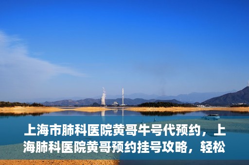 上海市肺科医院黄哥牛号代预约，上海肺科医院黄哥预约挂号攻略，轻松预约牛号
