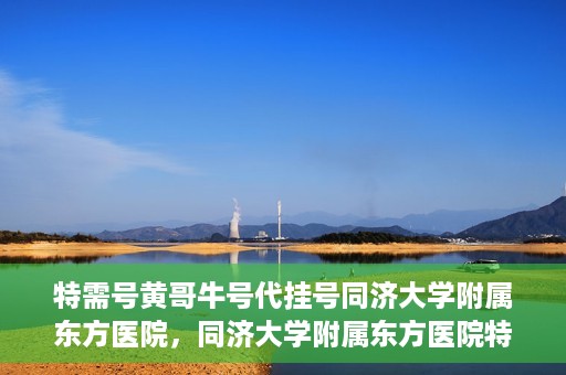 特需号黄哥牛号代挂号同济大学附属东方医院，同济大学附属东方医院特需号黄哥牛号代挂号服务解析