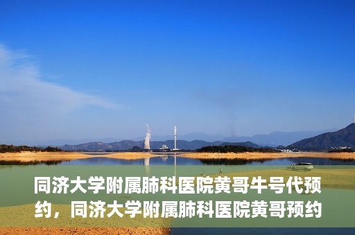 同济大学附属肺科医院黄哥牛号代预约，同济大学附属肺科医院黄哥预约代预约服务启动