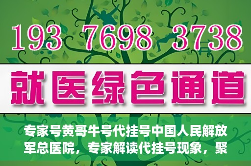 专家号黄哥牛号代挂号中国人民解放军总医院，专家解读代挂号现象，聚焦中国人民解放军总医院黄哥牛号事件