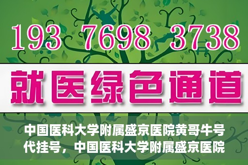 中国医科大学附属盛京医院黄哥牛号代挂号，中国医科大学附属盛京医院黄哥牛号代挂号背后的故事与真相揭秘
