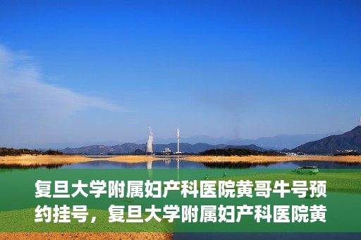 复旦大学附属妇产科医院黄哥牛号预约挂号，复旦大学附属妇产科医院黄哥牛挂号预约攻略解析