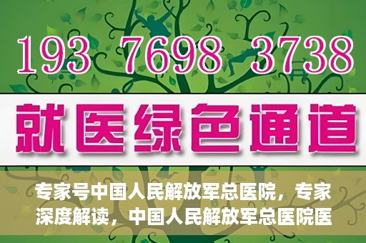 专家号中国人民解放军总医院，专家深度解读，中国人民解放军总医院医疗力量与前沿技术解析