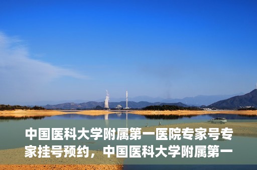 中国医科大学附属第一医院专家号专家挂号预约，中国医科大学附属第一医院专家挂号预约攻略，专业医师团队在线预约指导