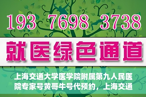 上海交通大学医学院附属第九人民医院专家号黄哥牛号代预约，上海交通大学医学院附属第九人民医院专家号预约服务解析，黄哥牛号预约指南