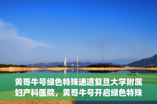 黄哥牛号绿色特殊通道复旦大学附属妇产科医院，黄哥牛号开启绿色特殊通道，复旦大学附属妇产科医院助力健康新篇章