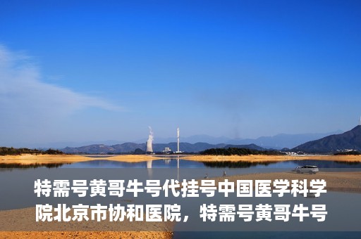 特需号黄哥牛号代挂号中国医学科学院北京市协和医院，特需号黄哥牛号在中国医学科学院北京协和医院代挂号服务详解