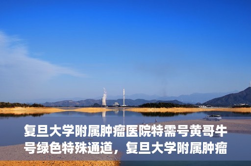 复旦大学附属肿瘤医院特需号黄哥牛号绿色特殊通道，复旦大学附属肿瘤医院特需号黄哥牛号绿色就医通道揭秘
