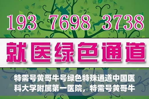 特需号黄哥牛号绿色特殊通道中国医科大学附属第一医院，特需号黄哥牛号，中国医科大学附属第一医院开辟绿色特殊通道