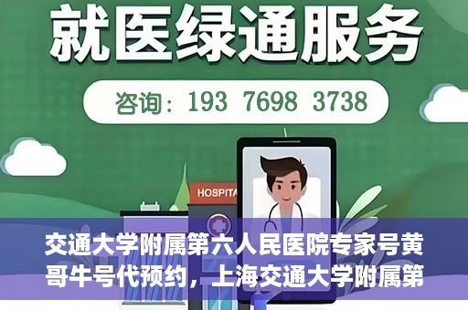 交通大学附属第六人民医院专家号黄哥牛号代预约，上海交通大学附属第六人民医院专家号预约服务解析，黄哥牛号预约指南
