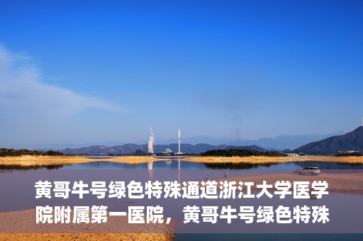 黄哥牛号绿色特殊通道浙江大学医学院附属第一医院，黄哥牛号绿色特殊通道，浙江大学医学院附属第一医院的探索与实践
