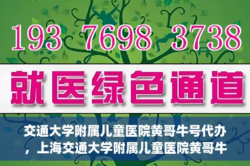 交通大学附属儿童医院黄哥牛号代办，上海交通大学附属儿童医院黄哥牛号代办揭秘，真相与警示