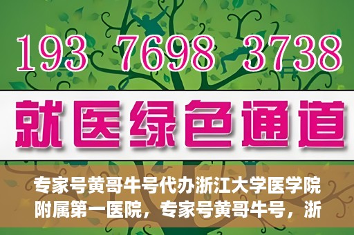 专家号黄哥牛号代办浙江大学医学院附属第一医院，专家号黄哥牛号，浙江大学医学院附属第一医院代办服务解析