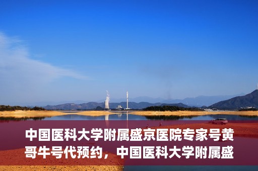 中国医科大学附属盛京医院专家号黄哥牛号代预约，中国医科大学附属盛京医院专家号黄哥牛号预约服务解析