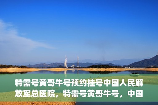 特需号黄哥牛号预约挂号中国人民解放军总医院，特需号黄哥牛号，中国人民解放军总医院预约挂号服务开启