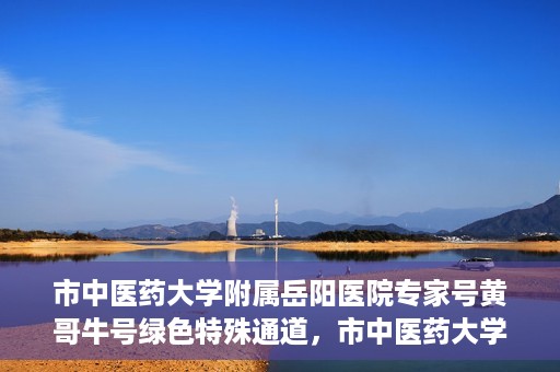 市中医药大学附属岳阳医院专家号黄哥牛号绿色特殊通道，市中医药大学附属岳阳医院专家号黄哥牛号，绿色特殊通道的医学力量