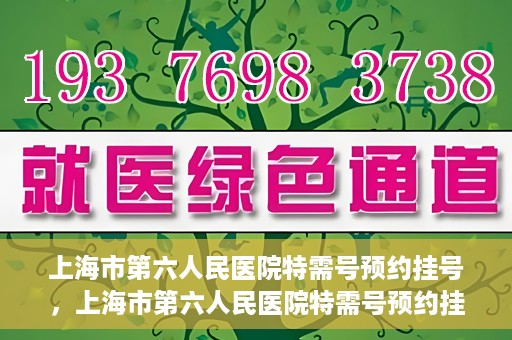 上海市第六人民医院特需号预约挂号，上海市第六人民医院特需号预约挂号攻略与指南