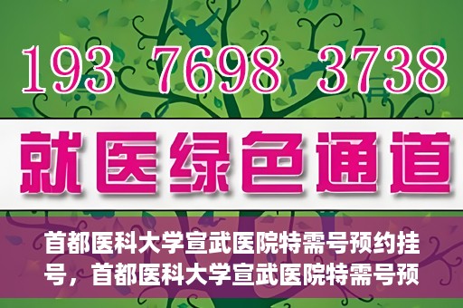 首都医科大学宣武医院特需号预约挂号，首都医科大学宣武医院特需号预约挂号指南，一站式解决您的就医需求