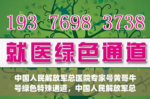 中国人民解放军总医院专家号黄哥牛号绿色特殊通道，中国人民解放军总医院黄哥牛号专家绿色特殊通道揭秘
