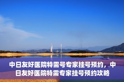 中日友好医院特需号专家挂号预约，中日友好医院特需专家挂号预约攻略