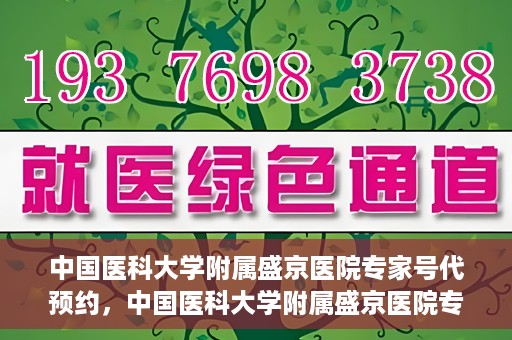 中国医科大学附属盛京医院专家号代预约，中国医科大学附属盛京医院专家号预约服务解析