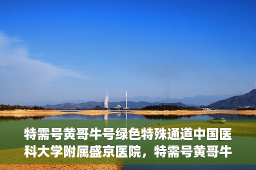 特需号黄哥牛号绿色特殊通道中国医科大学附属盛京医院，特需号黄哥牛号，盛京医院开启绿色特殊通道服务