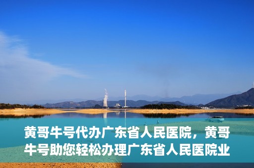 黄哥牛号代办广东省人民医院，黄哥牛号助您轻松办理广东省人民医院业务手续