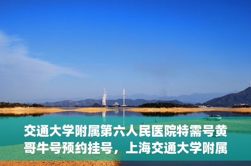 交通大学附属第六人民医院特需号黄哥牛号预约挂号，上海交通大学附属第六人民医院特需号专家黄哥牛号预约挂号攻略