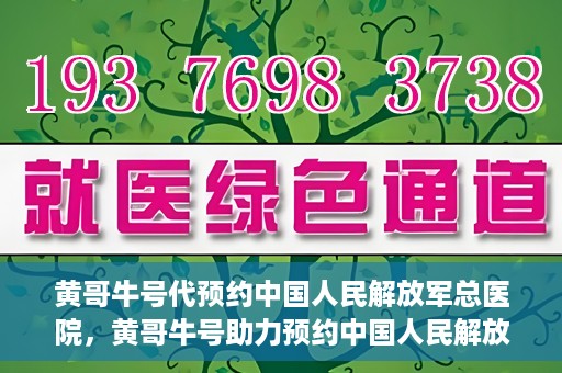 黄哥牛号代预约中国人民解放军总医院，黄哥牛号助力预约中国人民解放军总医院，一站式健康服务新体验