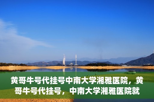 黄哥牛号代挂号中南大学湘雅医院，黄哥牛号代挂号，中南大学湘雅医院就医攻略