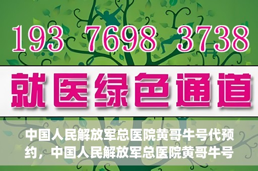 中国人民解放军总医院黄哥牛号代预约，中国人民解放军总医院黄哥牛号预约服务解析