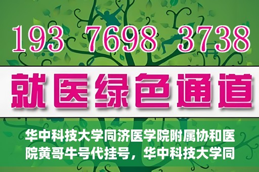 华中科技大学同济医学院附属协和医院黄哥牛号代挂号，华中科技大学同济医学院附属协和医院黄哥牛号代挂号服务详解