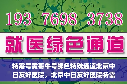 特需号黄哥牛号绿色特殊通道北京中日友好医院，北京中日友好医院特需绿色特殊通道，黄哥牛号就医体验新篇章