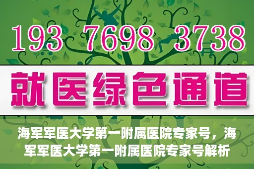 海军军医大学第一附属医院专家号，海军军医大学第一附属医院专家号解析，权威医疗团队的专业解读与诊疗服务