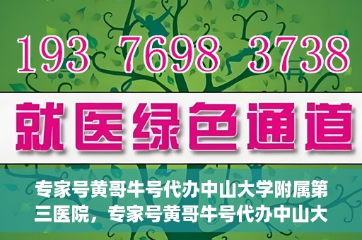 专家号黄哥牛号代办中山大学附属第三医院，专家号黄哥牛号代办中山大学附属第三医院，深度解析与代办指南
