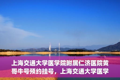 上海交通大学医学院附属仁济医院黄哥牛号预约挂号，上海交通大学医学院附属仁济医院黄哥牛号预约挂号攻略