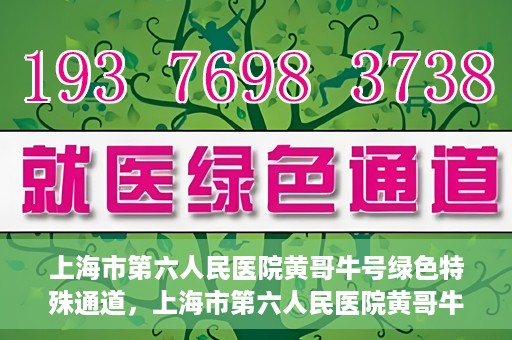 上海市第六人民医院黄哥牛号绿色特殊通道，上海市第六人民医院黄哥牛号，绿色特殊通道开启