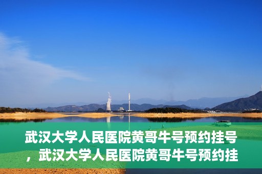 武汉大学人民医院黄哥牛号预约挂号，武汉大学人民医院黄哥牛号预约挂号攻略解析