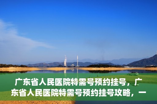 广东省人民医院特需号预约挂号，广东省人民医院特需号预约挂号攻略，一站式解决您的挂号需求