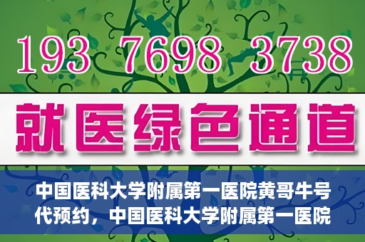 中国医科大学附属第一医院黄哥牛号代预约，中国医科大学附属第一医院黄哥牛号预约服务详解