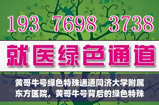 黄哥牛号绿色特殊通道同济大学附属东方医院，黄哥牛号背后的绿色特殊通道，同济大学附属东方医院的探索与实践