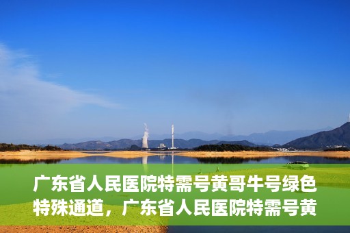 广东省人民医院特需号黄哥牛号绿色特殊通道，广东省人民医院特需号黄哥牛号，绿色特殊通道就医体验