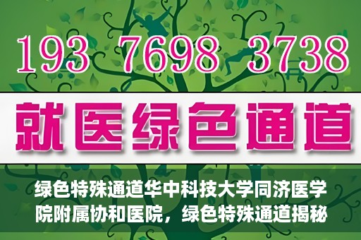 绿色特殊通道华中科技大学同济医学院附属协和医院，绿色特殊通道揭秘，华中科技大学同济医学院附属协和医院的故事